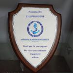 Wooden shield award