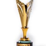 New trophies. 19 cm height