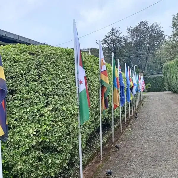 Flags